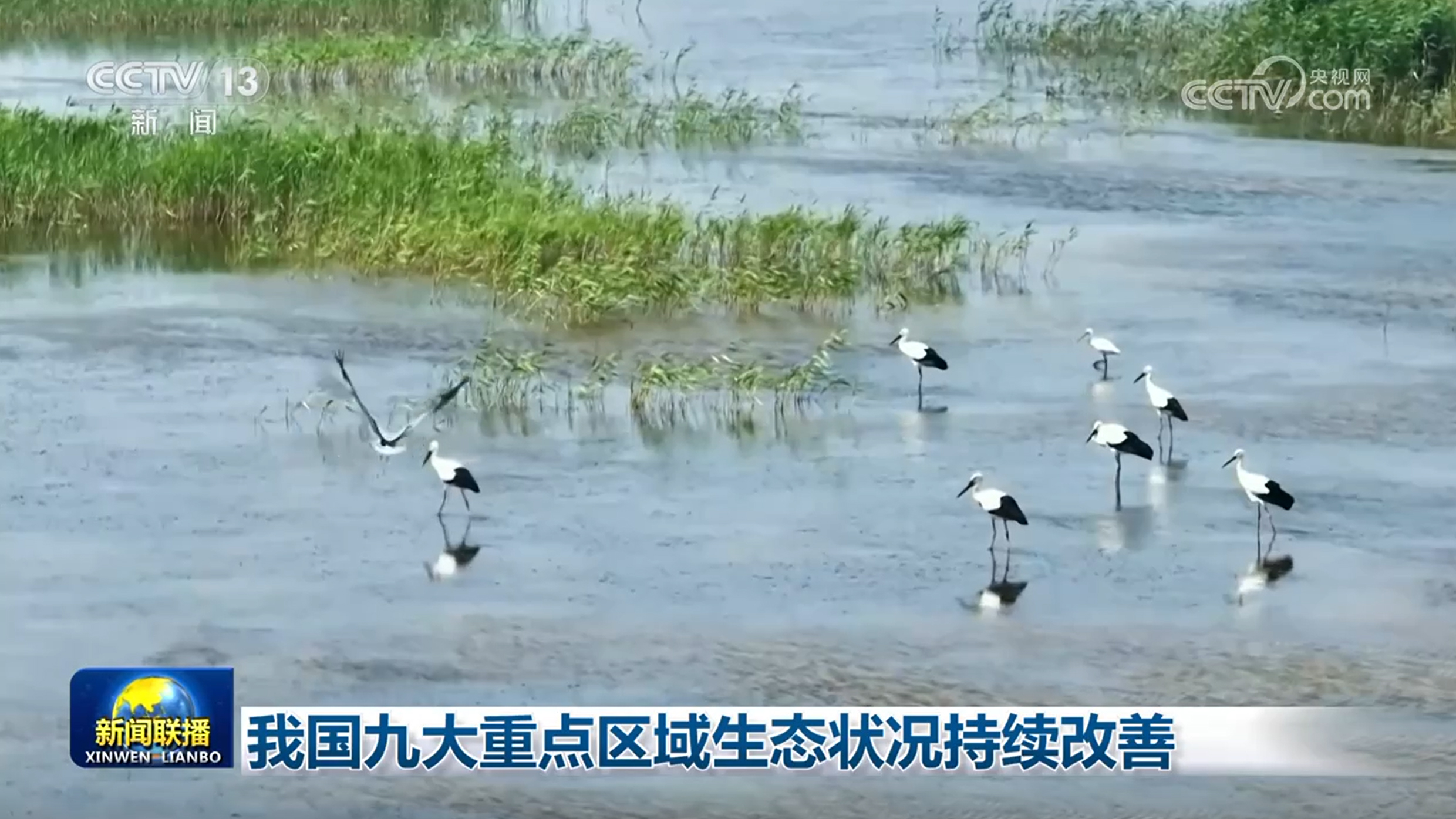 我国九大重点区域生态状况持续改善