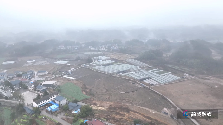 鹤城区:精准防控低温寒潮 护航农作物安全过冬.mp4_20260130_165954.465.jpg 鹤城区:精准防控低温寒潮 护航农作物安全过冬.mp4_20260130_165954.465.jpg