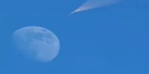 一起欣赏！本年度最大盈凸月现身天宇