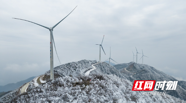 DJI_20260201103941_0009_D.jpg DJI_20260201103941_0009_D.jpg