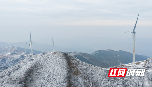 DJI_20260201104709_0025_D.jpg DJI_20260201104709_0025_D.jpg