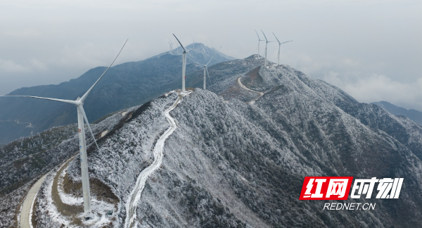 DJI_20260201105204_0032_D.jpg DJI_20260201105204_0032_D.jpg