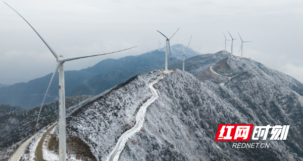 DJI_20260201105927_0057_D.jpg DJI_20260201105927_0057_D.jpg