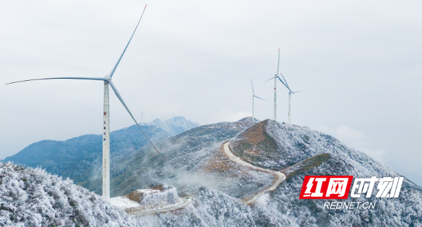 DJI_20260201120546_0128_D.jpg DJI_20260201120546_0128_D.jpg