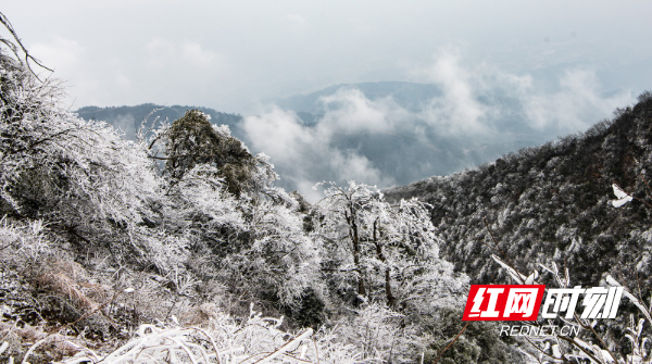 TWG_4035.jpg TWG_4035.jpg