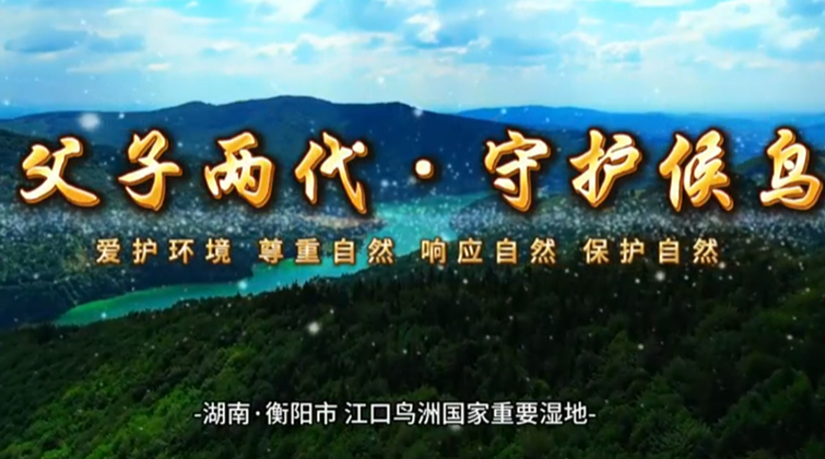 耒水河畔的“守护者”：两代人的候鸟情缘