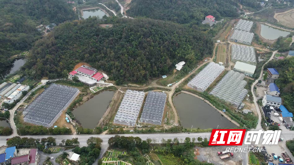 微信图片_2026-02-02_090651_521_副本.png 微信图片_2026-02-02_090651_521_副本.png