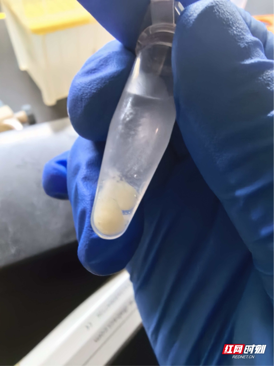 图片1 实验室.png