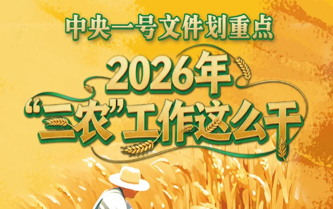 速览丨中央一号文件划重点，2026年“三农”工作这么干