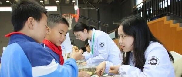 本草香飘润童心 ——湖南推动中医药文化进校园纪实