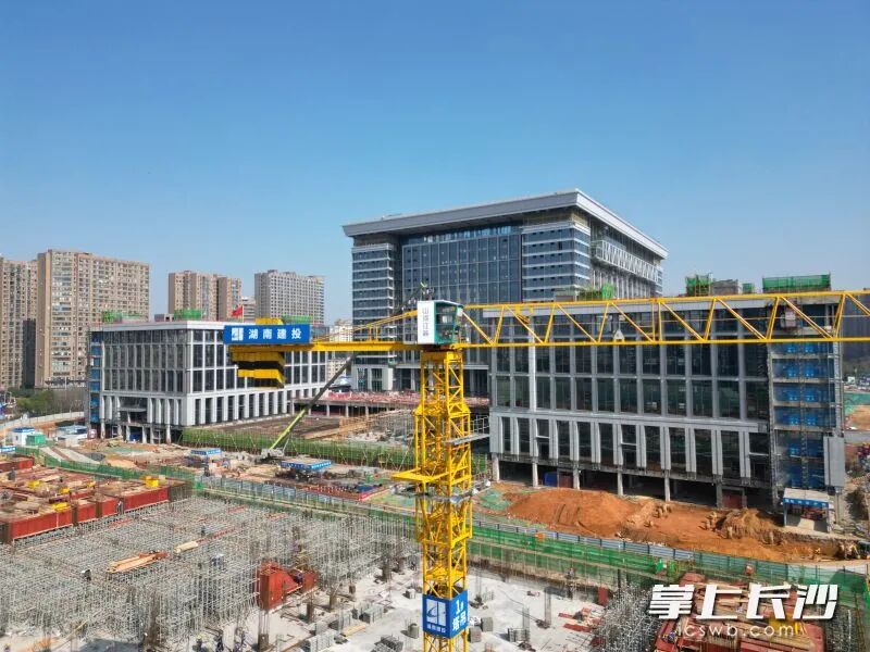 项目建设如火如荼，预计将吸引多家央国企入驻。