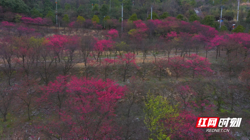 de87c462fa895fe360546407248ea1de.jpg de87c462fa895fe360546407248ea1de.jpg