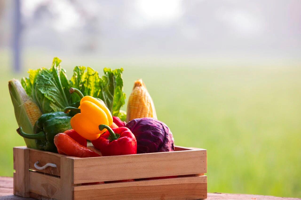 湖南消费焕发新活力