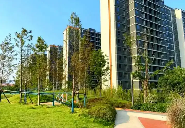 长沙开展规范房地产领域平台及自媒体行为联合整治行动