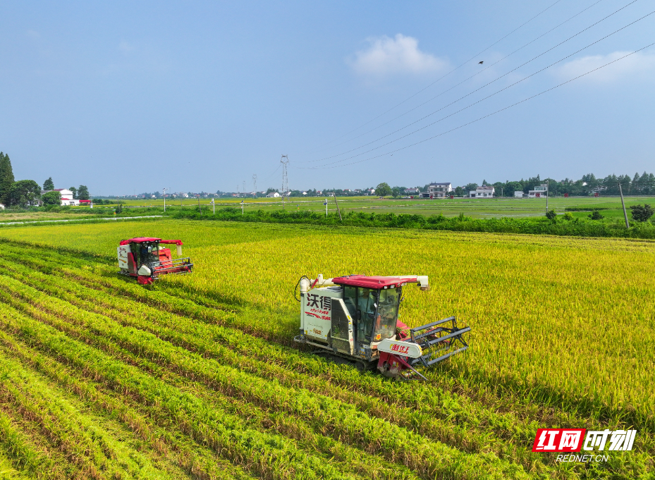 微信图片_20260209092707_3322_5.jpg 微信图片_20260209092707_3322_5.jpg