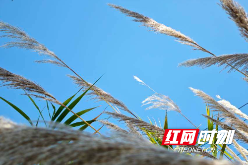 67e9129404222bb9544825ac5cce56b7.png 67e9129404222bb9544825ac5cce56b7.png