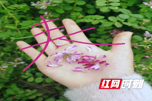 0f0dd14c373ddfe17cf0e6c8ebcc5478.jpg 0f0dd14c373ddfe17cf0e6c8ebcc5478.jpg