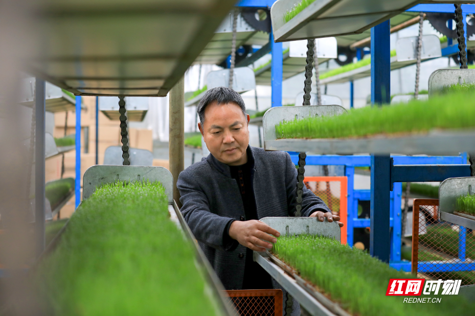 微信图片_20260209092708_3323_5.jpg 微信图片_20260209092708_3323_5.jpg