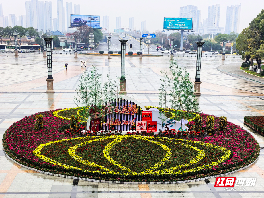 26年2月9日，高铁衡阳东站广场花卉景点布置实景图.jpg