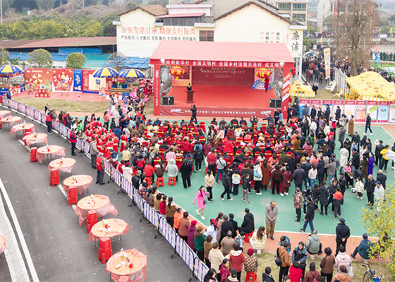 衡阳：文明村里品年味 非遗盛宴启新岁