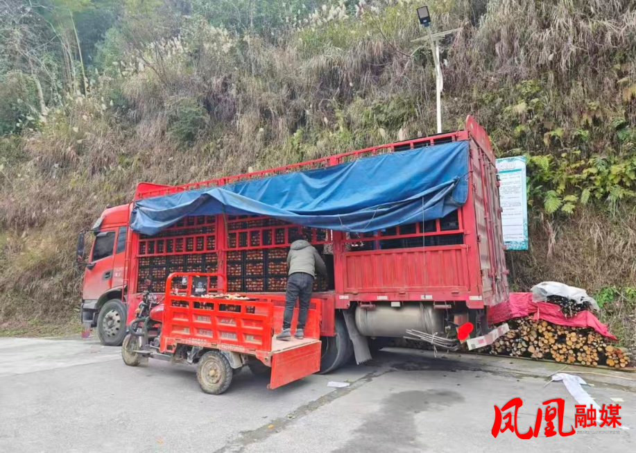 图片5.png 图片5.png