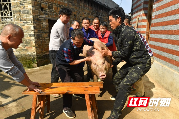 HHZ_4730_副本.jpg HHZ_4730_副本.jpg