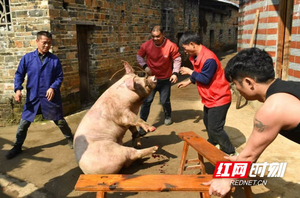 微信图片_20260215082328_128_18_副本.jpg 微信图片_20260215082328_128_18_副本.jpg