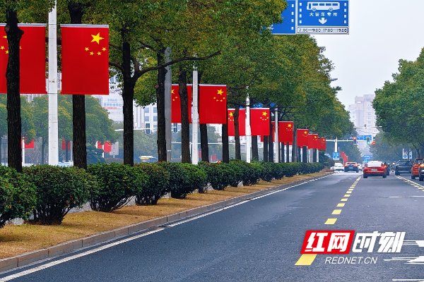 微信图片_20260215155401_290_52.jpg 微信图片_20260215155401_290_52.jpg