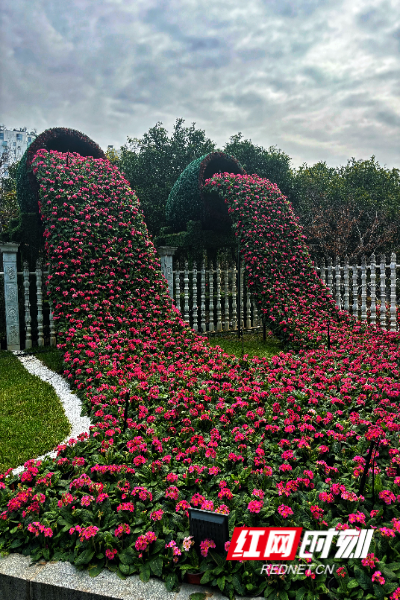 微信图片_20260215155409_291_52.jpg 微信图片_20260215155409_291_52.jpg