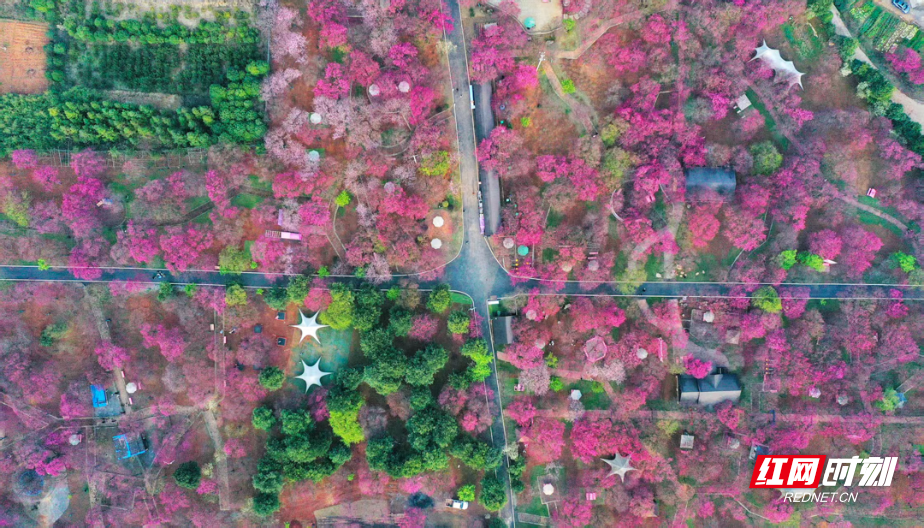 953dac47eb2b39559541c67f720d52a8.jpg 953dac47eb2b39559541c67f720d52a8.jpg