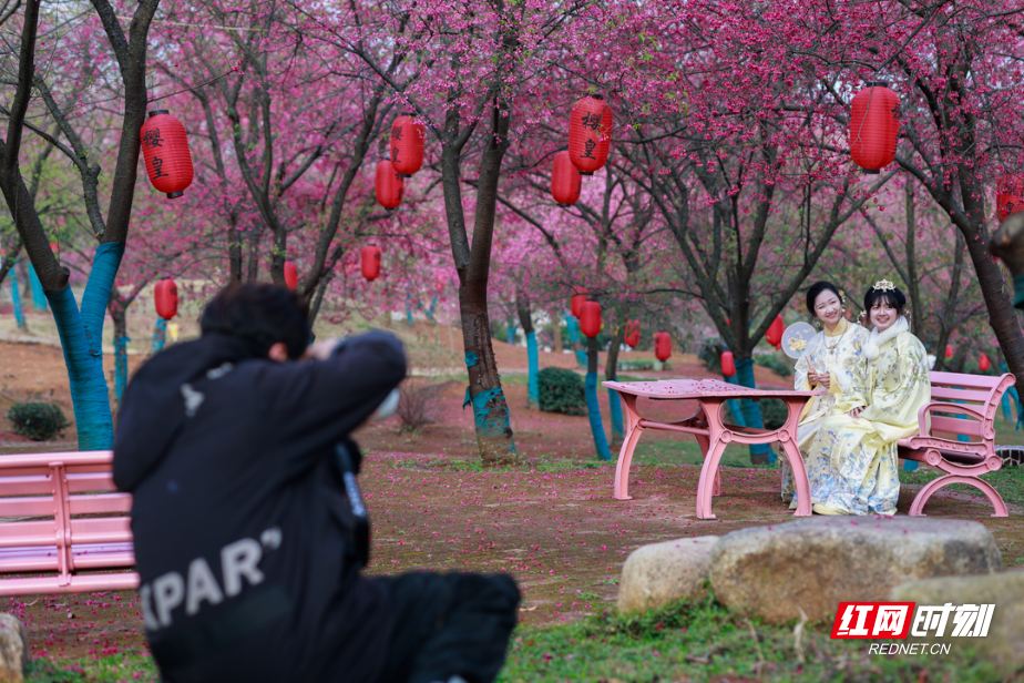 _R2A0845.jpg _R2A0845.jpg