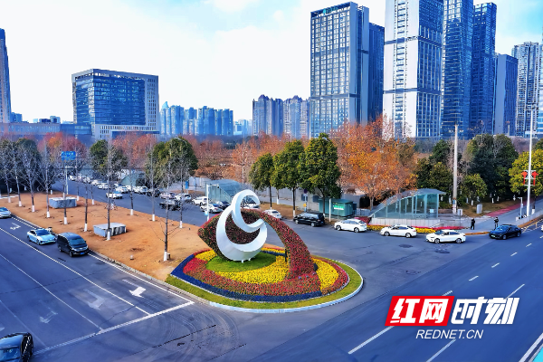 微信图片_20260215155743_296_52.jpg 微信图片_20260215155743_296_52.jpg