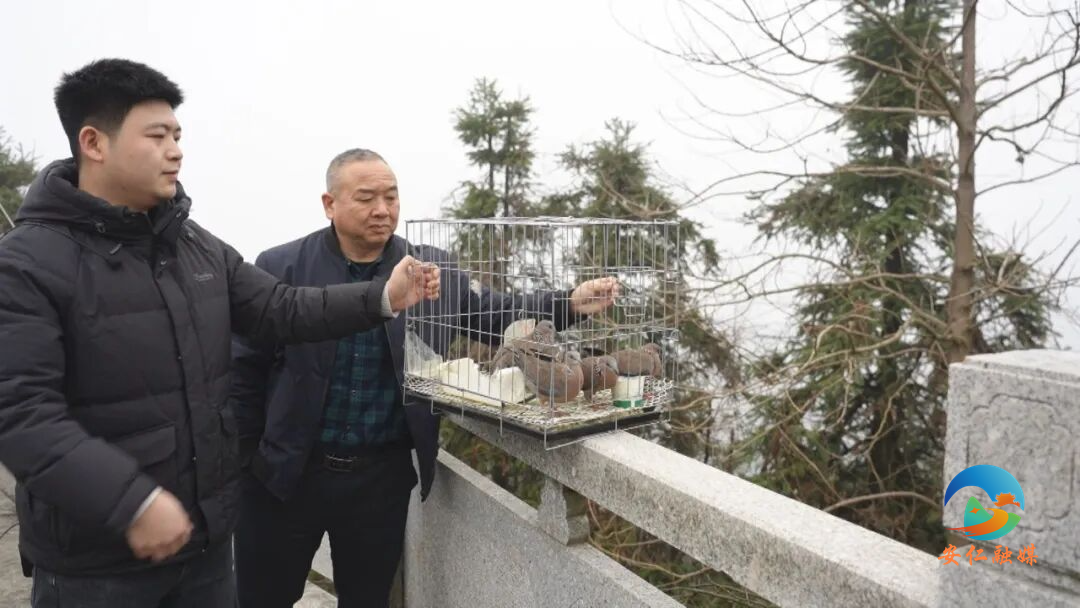 f0db9570ec506204649e24457bb4fa9e.jpg f0db9570ec506204649e24457bb4fa9e.jpg