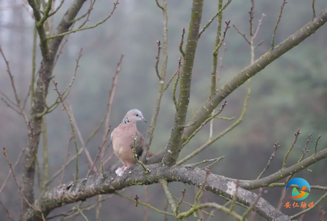 8fa92d56eb0de9d805bef573284fd739.jpg 8fa92d56eb0de9d805bef573284fd739.jpg