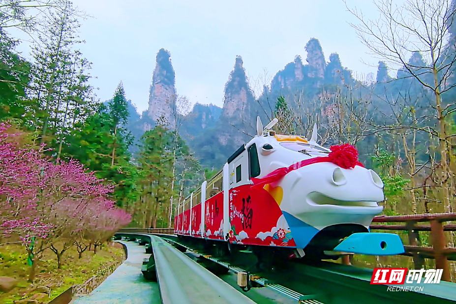 微信图片_20260218150502_439_112.jpg 微信图片_20260218150502_439_112.jpg