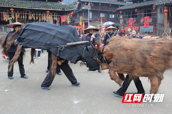 RX4A6791_副本.jpg RX4A6791_副本.jpg