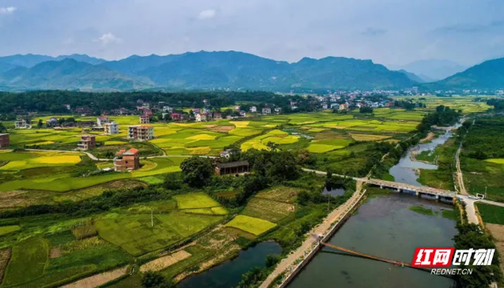 湘南“老师傅”的千年匠心浪漫