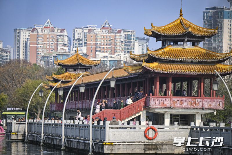 烈士公园同样迎来许多游客。