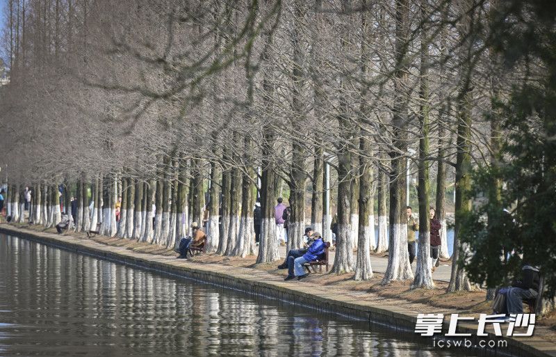 游客坐在湖边长椅上，沐浴着阳光。