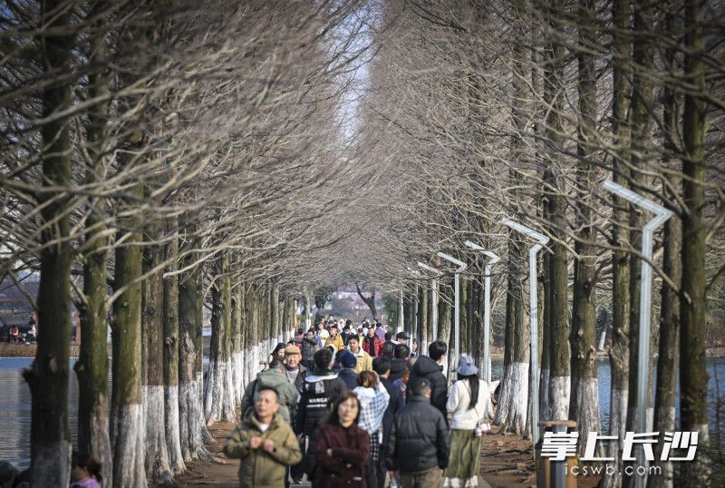 烈士公园内游人如织。