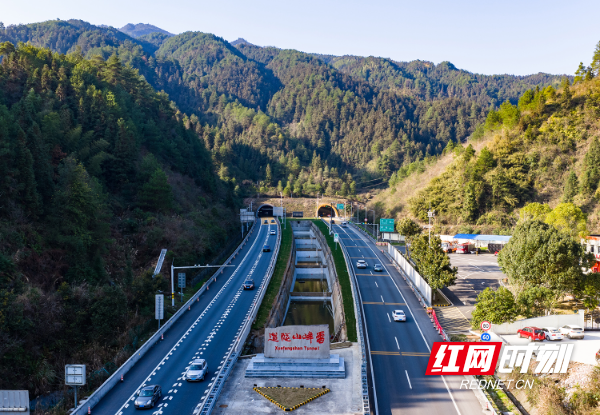 DJI_20260220162159_0020_D.jpg DJI_20260220162159_0020_D.jpg