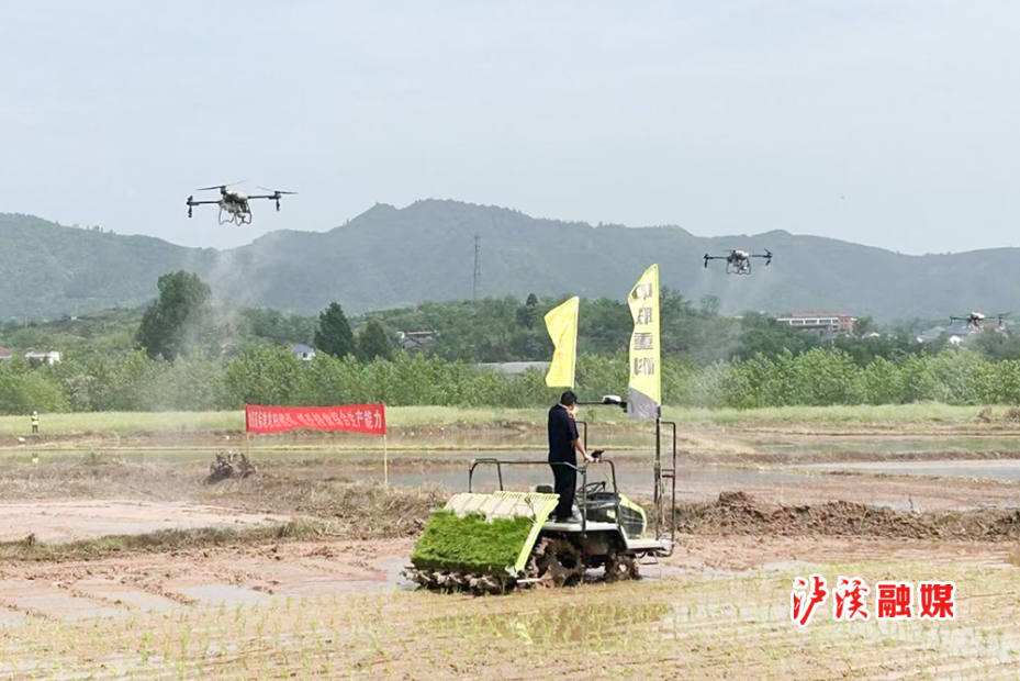 修改5.jpg 修改5.jpg