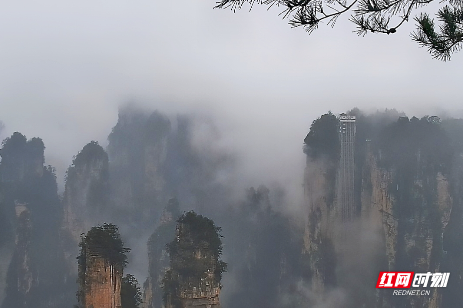 微信图片_20260223140055_556_112.jpg 微信图片_20260223140055_556_112.jpg