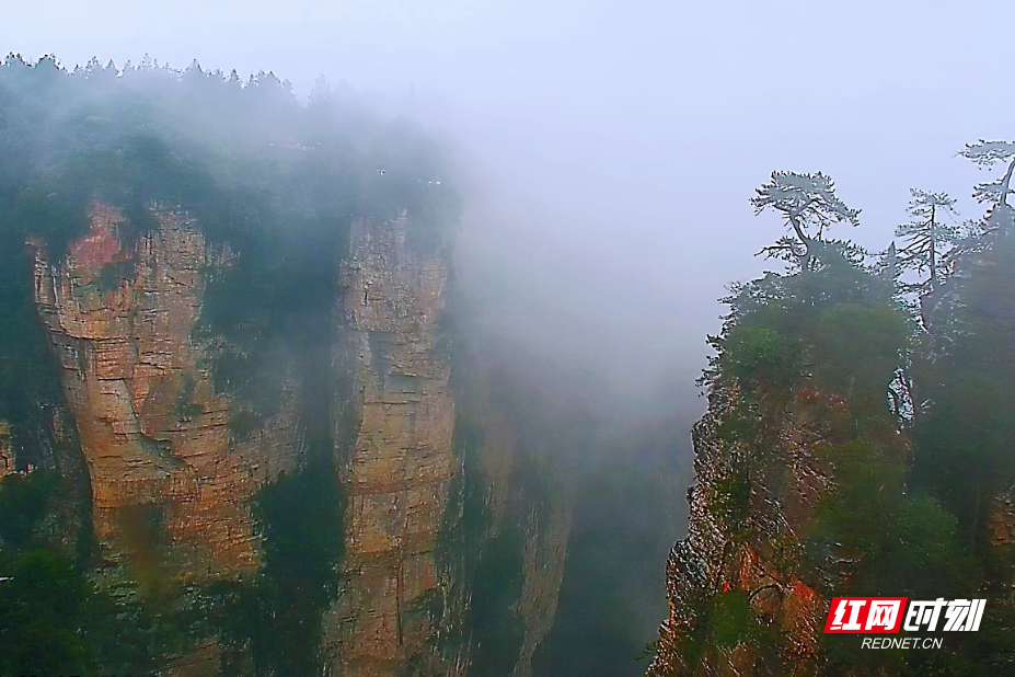 微信图片_20260223140057_559_112.jpg 微信图片_20260223140057_559_112.jpg