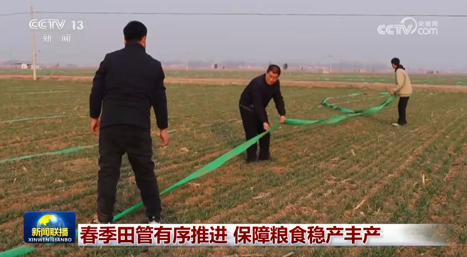 春季田管有序推进 保障粮食稳产丰产