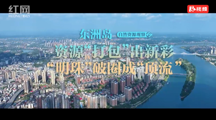 自然资源观察②丨东洲岛：资源“打包”出新彩“ 明珠”破圈成“顶流”