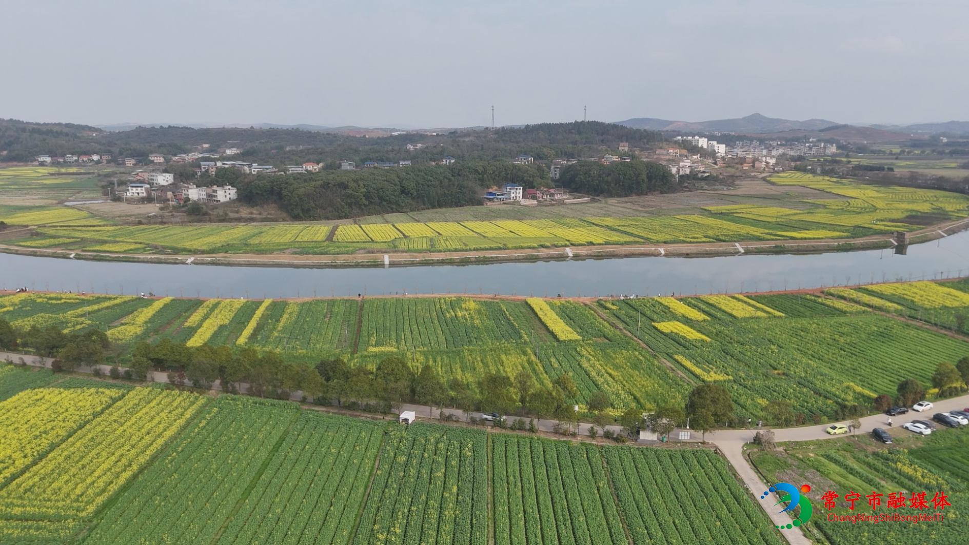 油菜花开呀 (5).jpg
