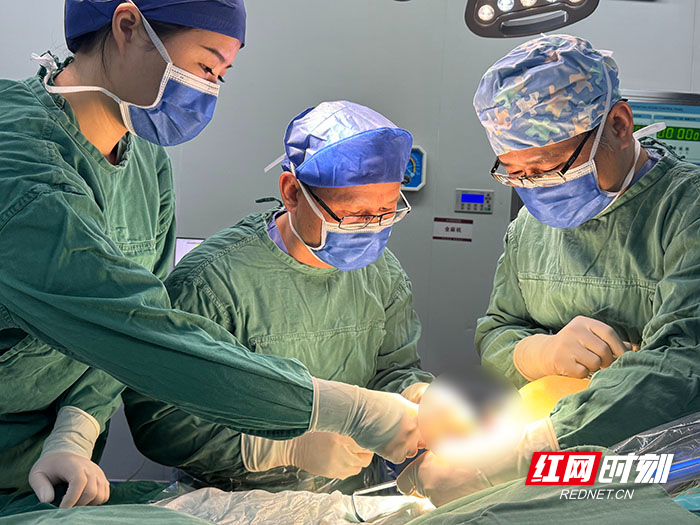 微信图片_20260224171240_61_176.jpg 微信图片_20260224171240_61_176.jpg