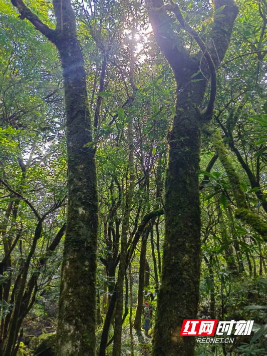 微信图片_20260224104524_210_133.jpg 微信图片_20260224104524_210_133.jpg