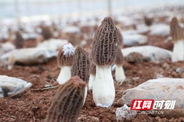 微信图片_20260225085124.jpg 微信图片_20260225085124.jpg